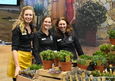 Nicole, Patty and Anne from Amigo Plant.